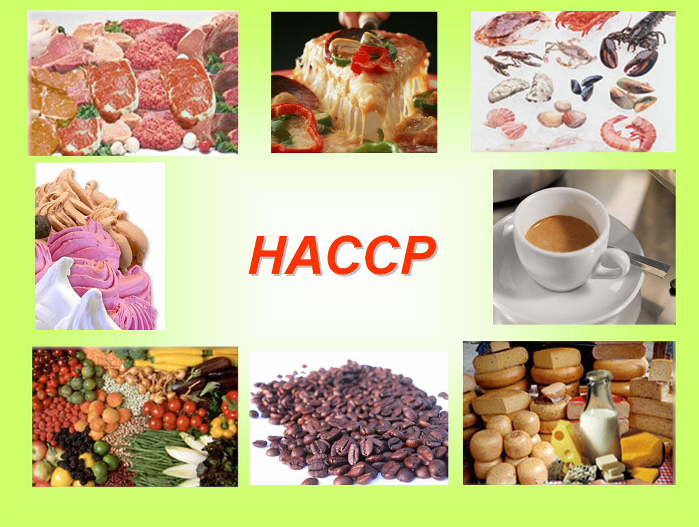 Konsultan HACCP (Program Konsultasi Penyusunan dan Implementasi Hazard Analysis and Critical Control Points)